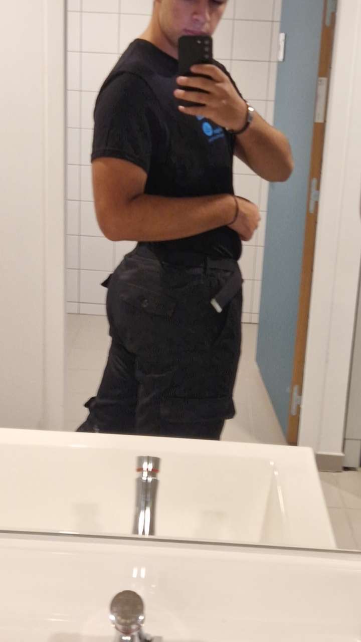 Profil de Fayel