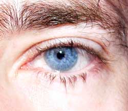 Profil de Donat